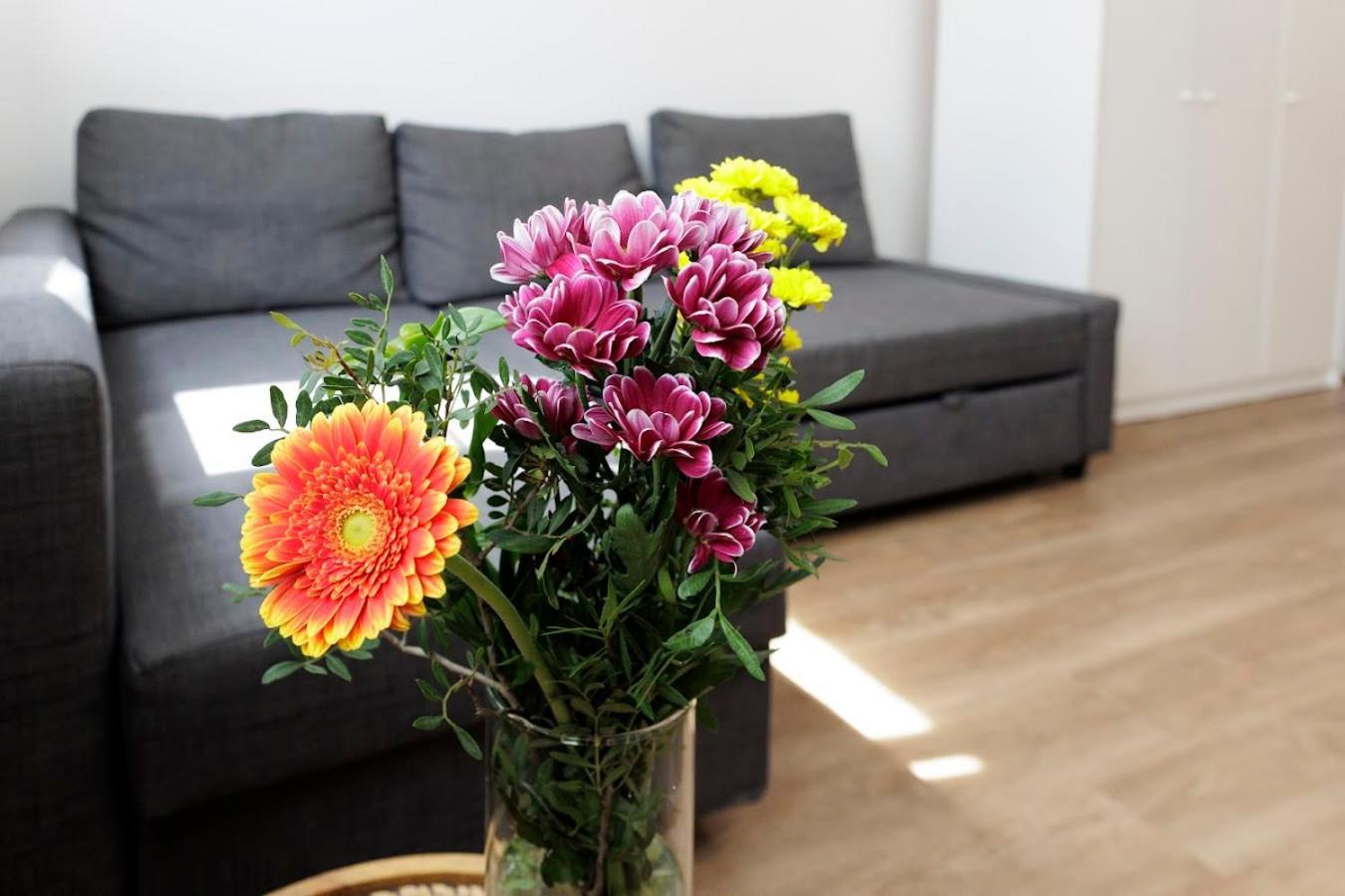 Diamond Residence In Old Town With Free Parking Bratislava Exterior foto